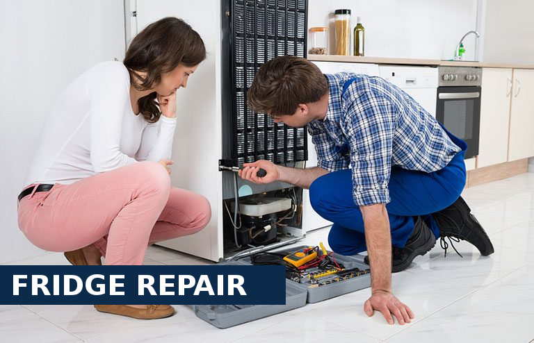 Fridge Repair Clapham Junction